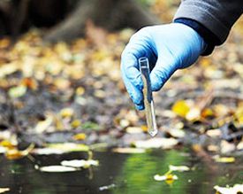 Bacteria and enzymes in septic tanks, wastewater treatment plants, ponds.