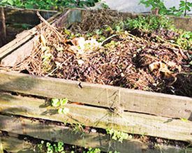How to compost properly and how to use a compost accelerator?