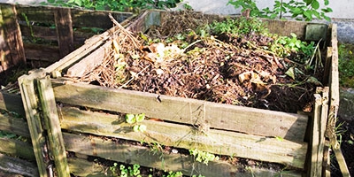 How to compost properly and how to use a compost accelerator?