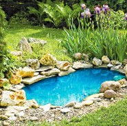 Cleaners for domestic PONDS