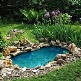 Bio-enzymatic cleaner additives for your Pond during Spring - 500g