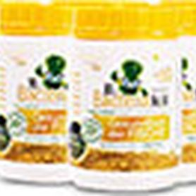 Lactobacteria to help maintain healthy Fish - 500g